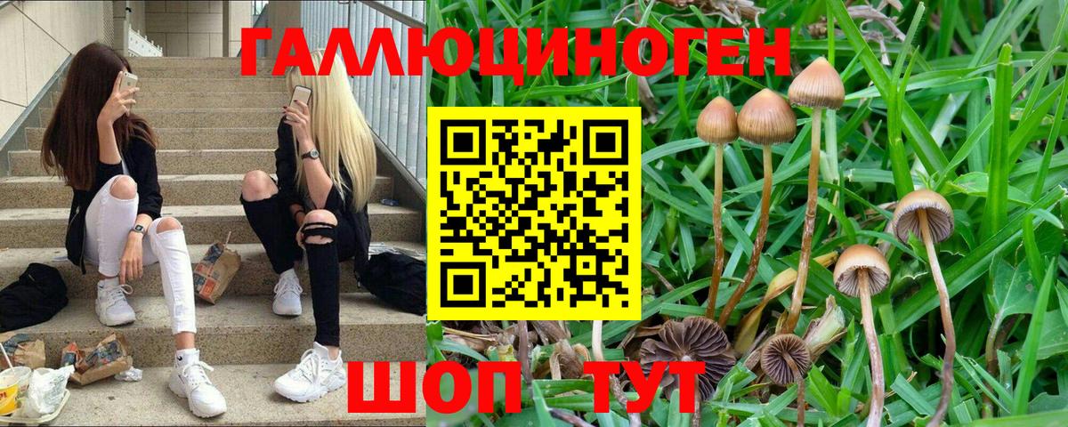 Псилоцибиновые грибы Magic Shrooms Мирный