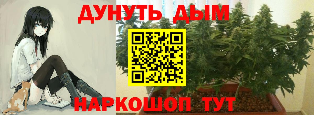 Каннабис SATIVA & INDICA Мирный